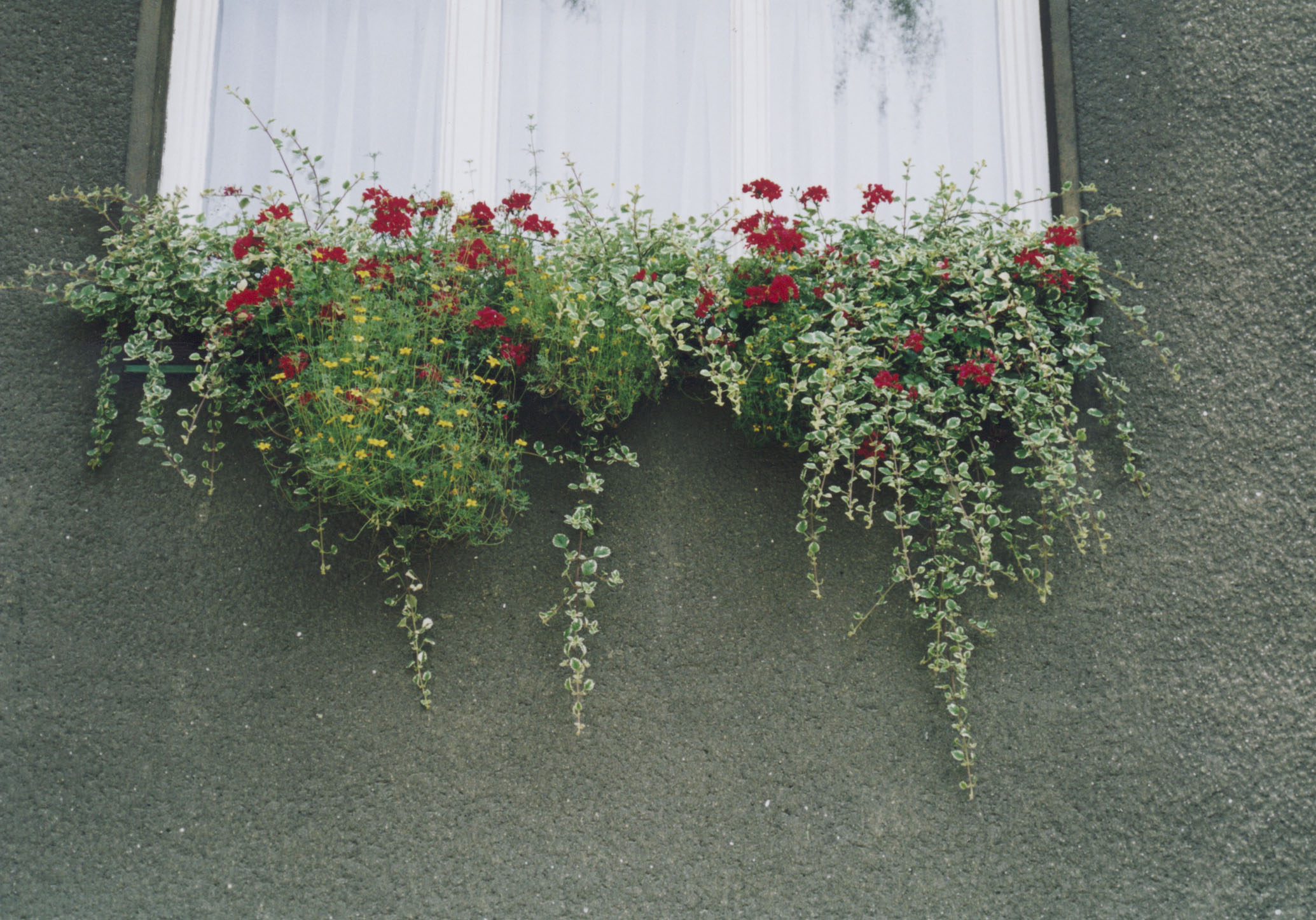 Rozkvetlý Bohumín 2003 - okna