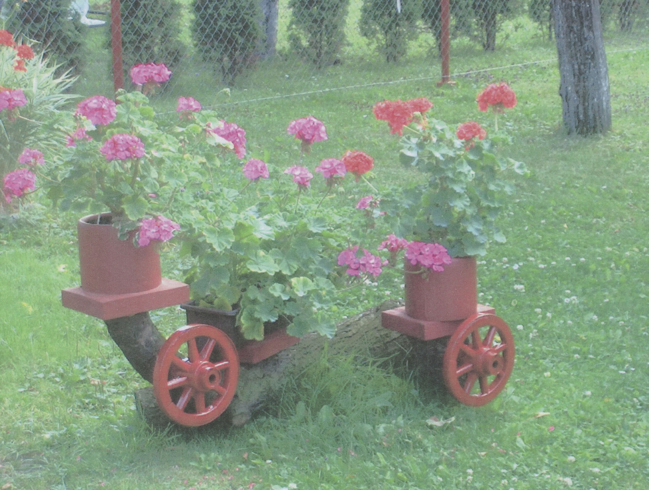 Rozkvetlý Bohumín 2003 - zahrady