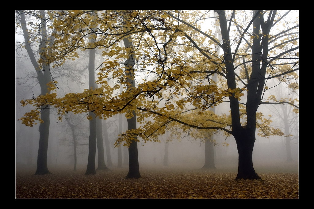 Foto soutěž park - Ladislav Pekárek
