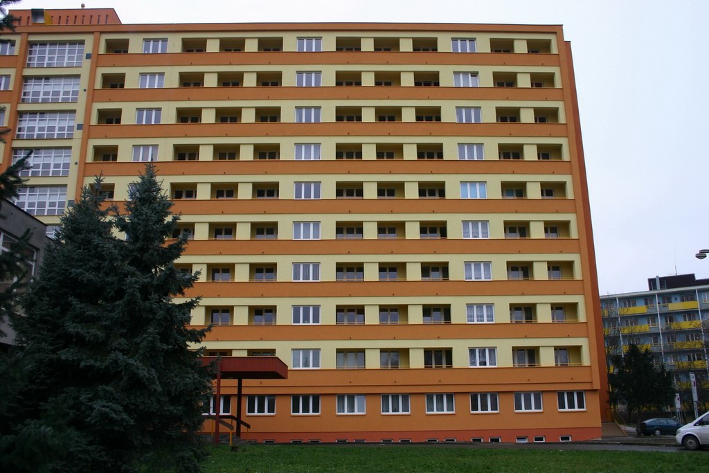 Slunečnice