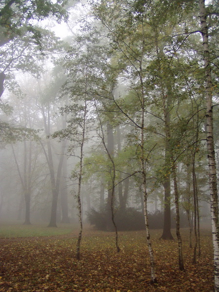 Park Petra Bezruče