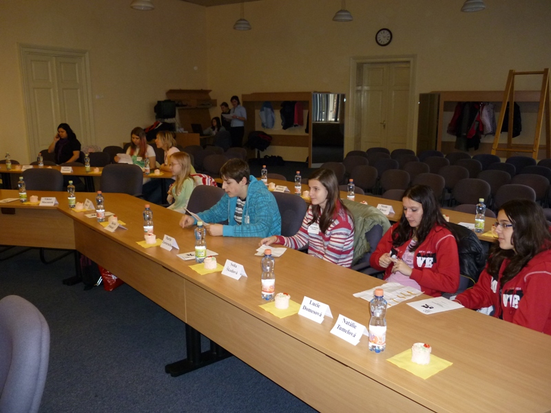 Konference EVVO - Strom