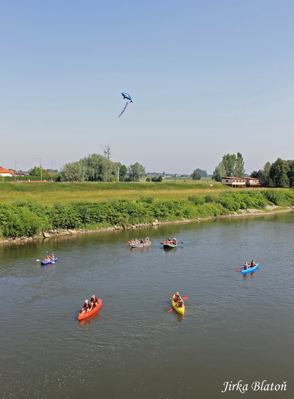 Odemykání meandrů Odry 2012