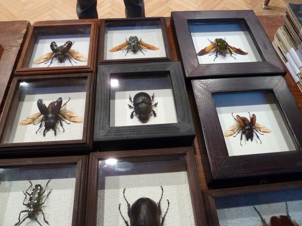 Entomologická burza na hranici