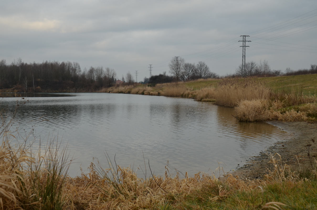 Novoroční šunychelský ponor - 1. ročník