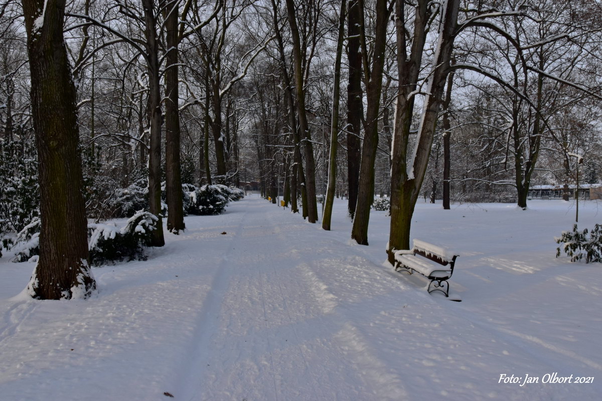 Zimní park Petra Bezruče
