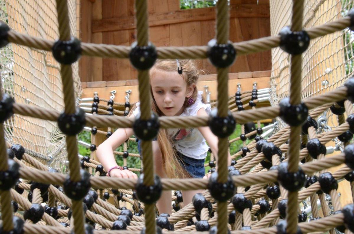 V Bohumíně otevírají unikátní lanovou atrakci – Mauglího stezku