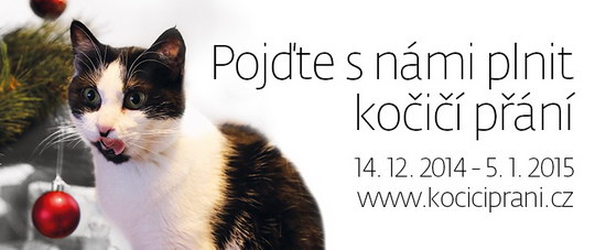 Vánoce plní virtuální misky koček z Pudlova