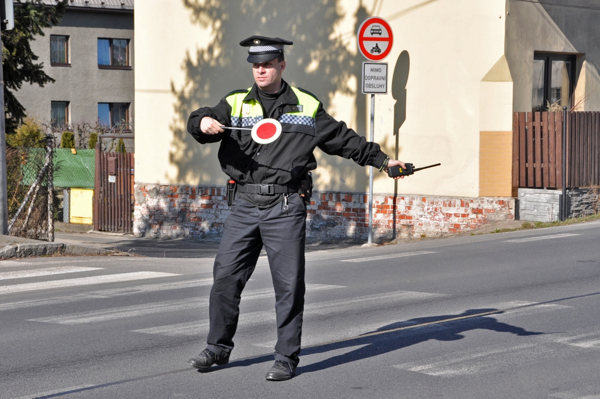 Zpráva o činnosti Městské policie Bohumín v roce 2015