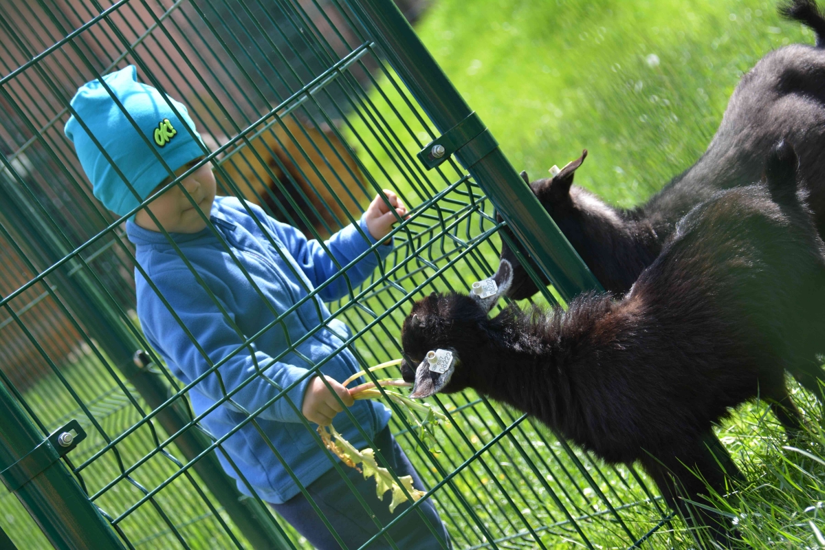 V Bohumíně v neděli otevřou ranč s domácími zvířaty