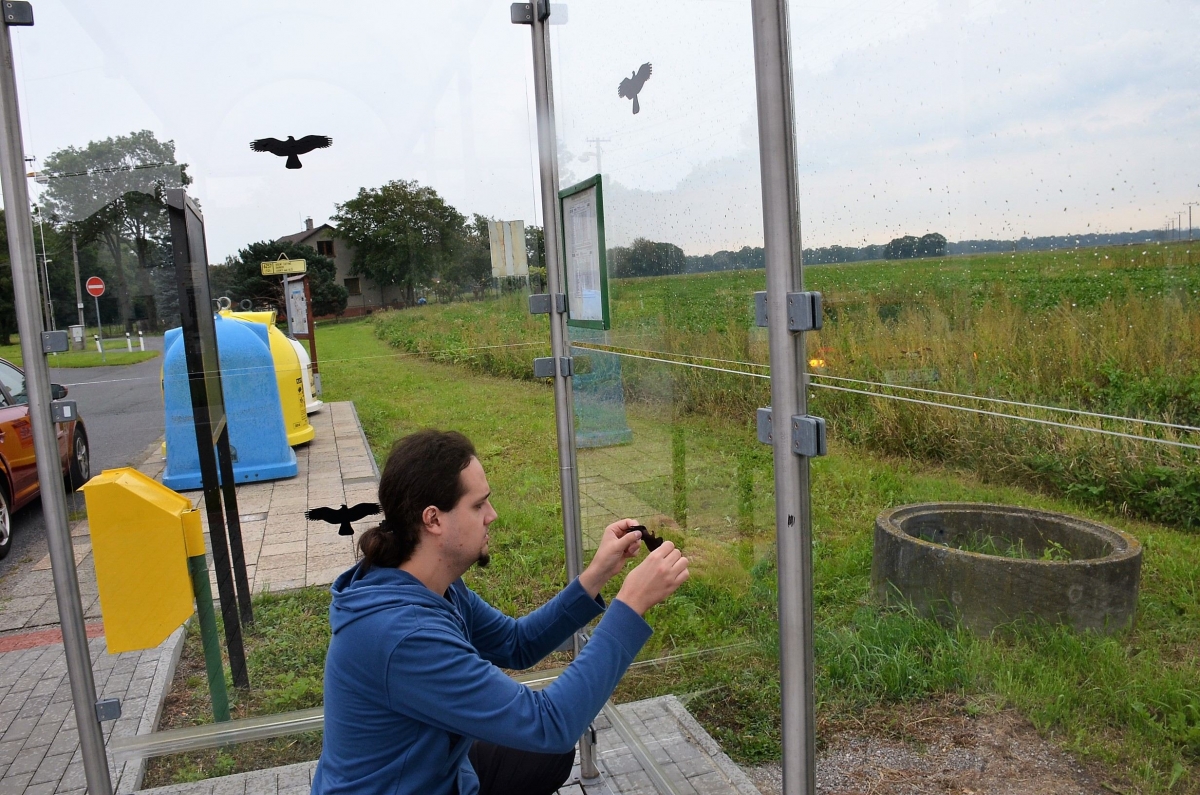 Prosklené autobusové čekárny v Bohumíně zdobí nově siluety dravců