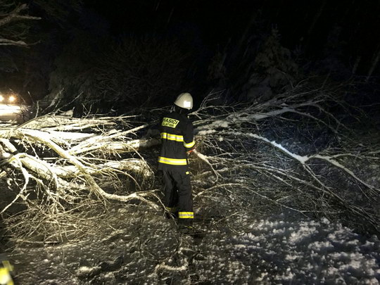 Hasiče zaměstnaly stromy, které nezvládly zatížení mokrým sněhem