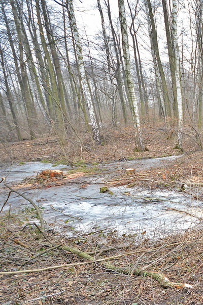 Úprava gliňočských tůní pomůže krajině přirozeně zadržovat vodu