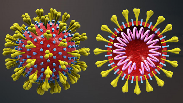 Koronavirus