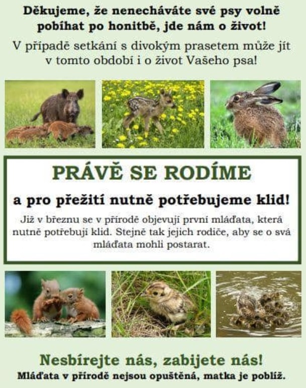 Pudlovští myslivci prosí výletníky o klid pro mláďata