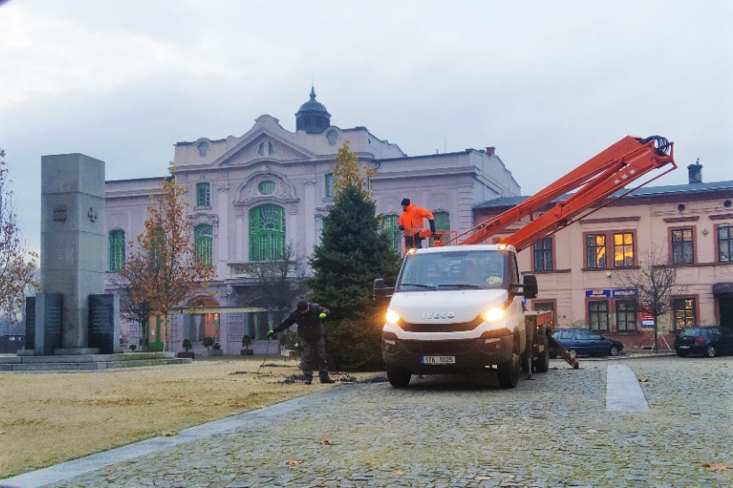 Vánoční strom pro Starý Bohumín pochází z lokality určené k obměně zeleně