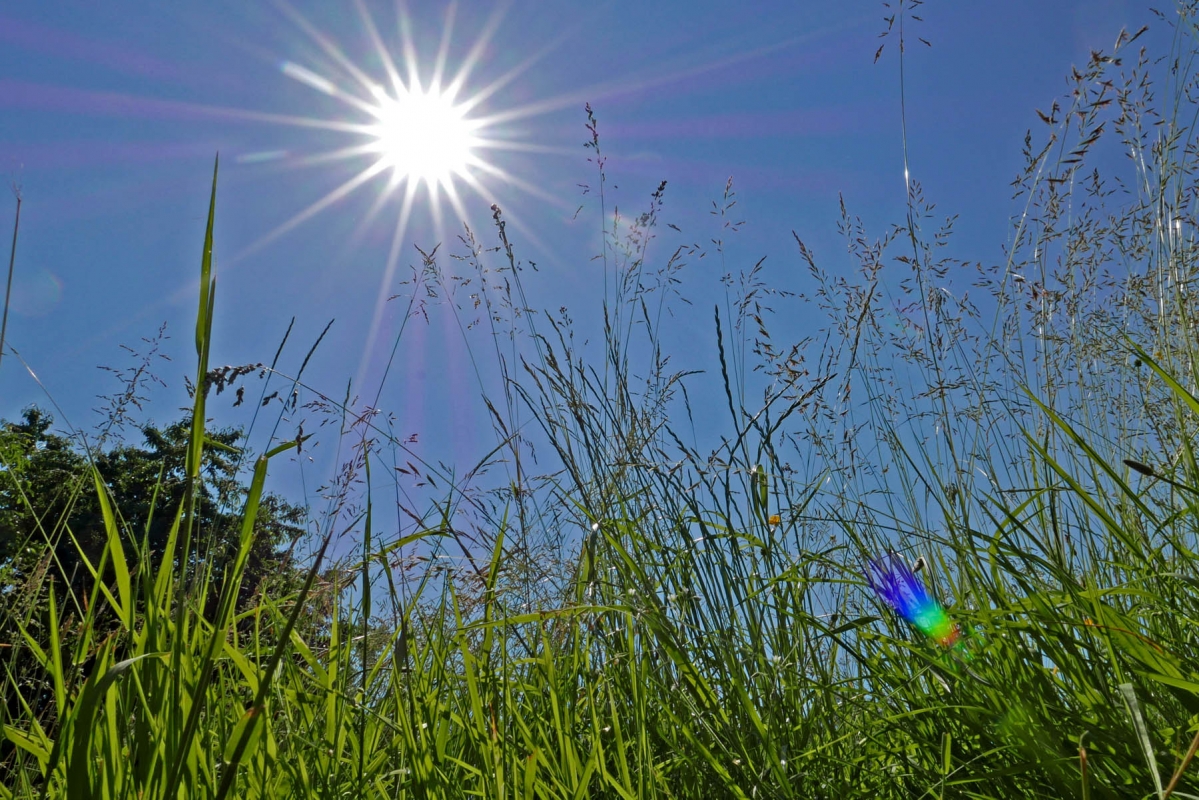 Vysoké teploty a nebezpečí vzniku i šíření požárů, meteorologové upřesňují prognózy