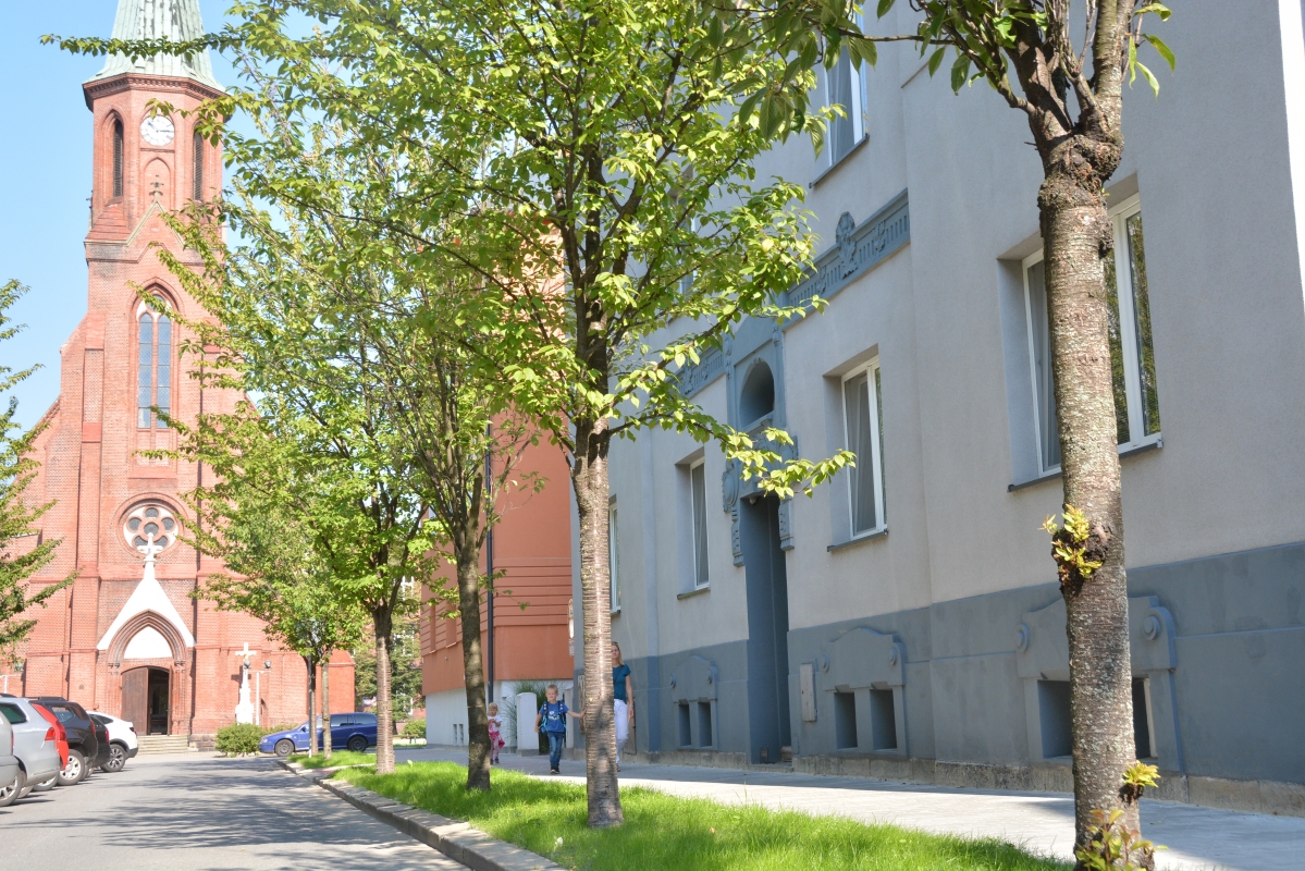 Bohumín ukončil plánované opravy chodníků, v centru přibyla zeleň