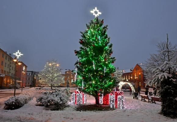 Dárek čtenářům, příběh o vánočním stromečku a kouzelném králíčkovi