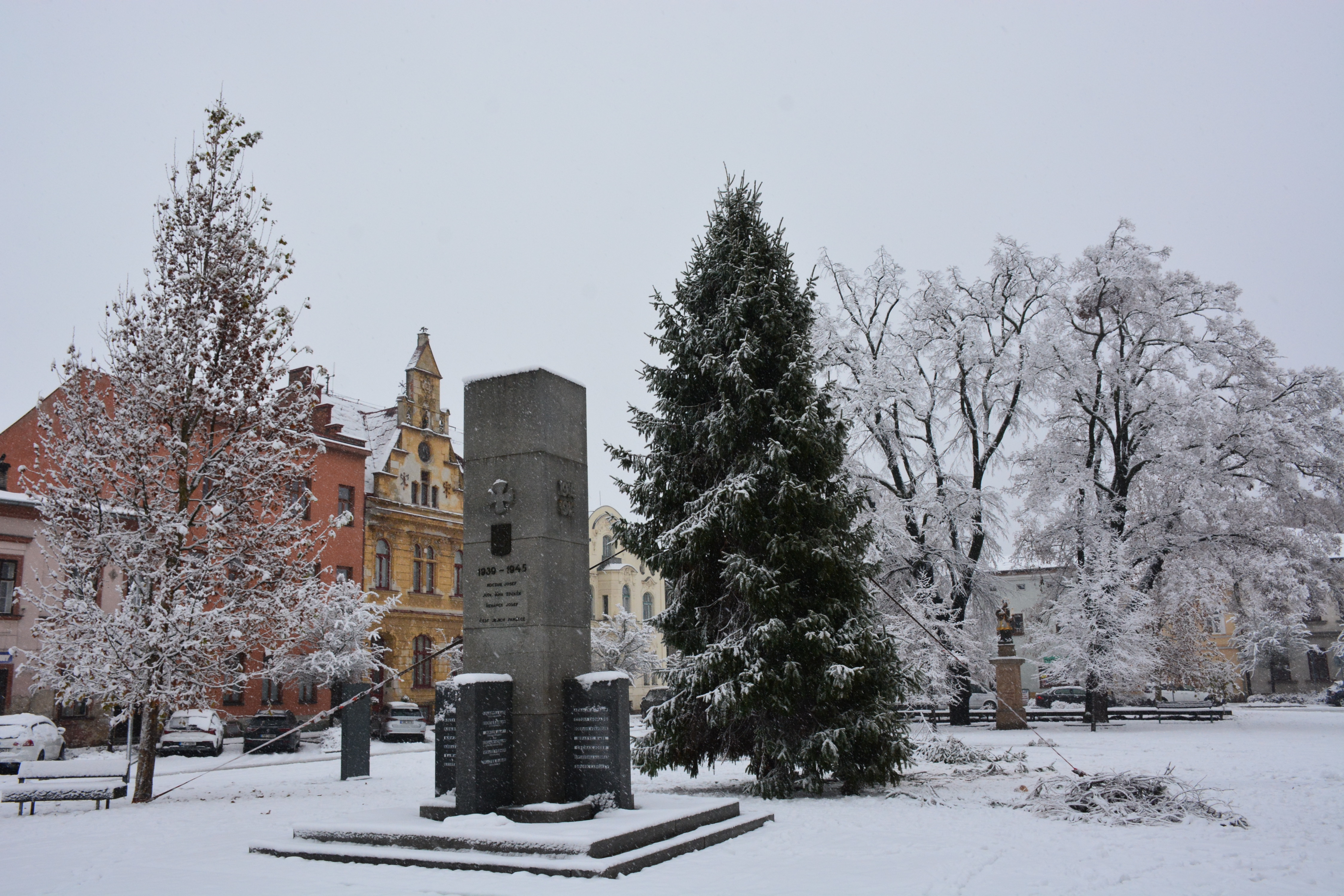 Druhá šance pro odepsaný smrk. Stane se vánoční ozdobou Starého Bohumína
