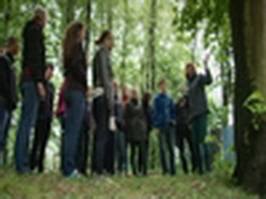 Gymnázium buduje miniarboretum - zobrazit video