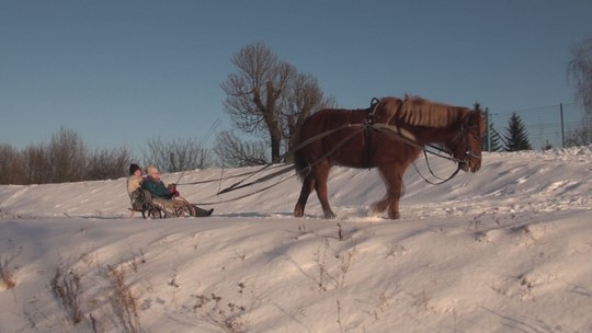 Labutě a další ptáci v době mrazů na Odře u Bohumína - przedstawić wideo