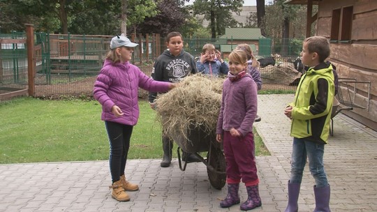 Mladí chovatelé pomáhají s péčí o zvířata na ranči - przedstawić wideo
