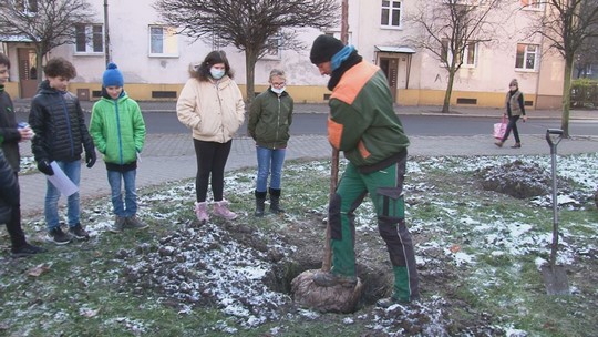 Další stromy pro Parčík generací sázeli školáci - zobrazit video