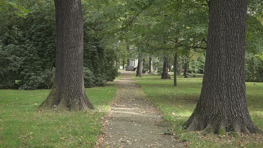 Park Petra Bezruče: kácení, regenerace, výsadba - zobrazit video